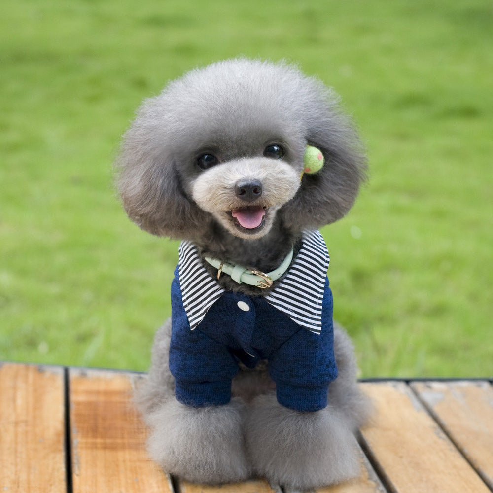 Dog Hoodie with Lapel and Two Legs